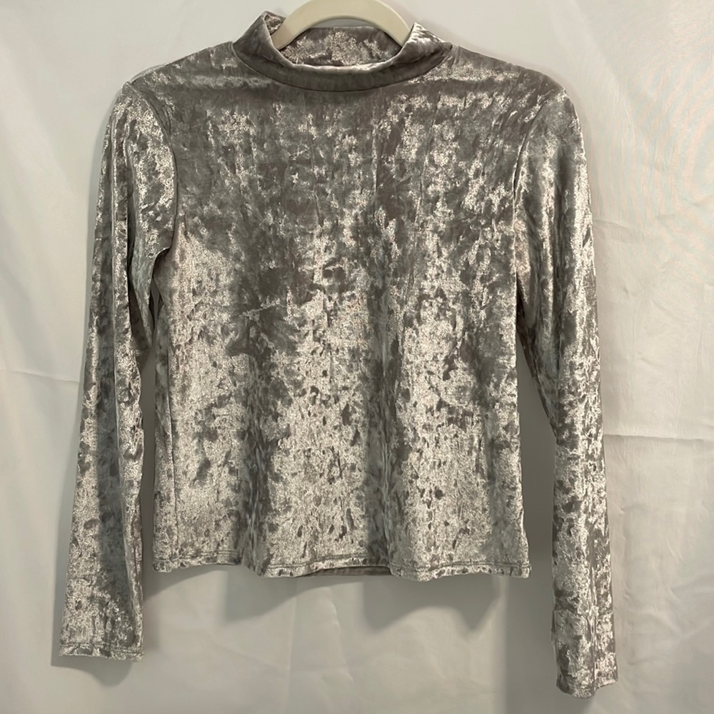 Avenue Velvet Silver Crop Top
